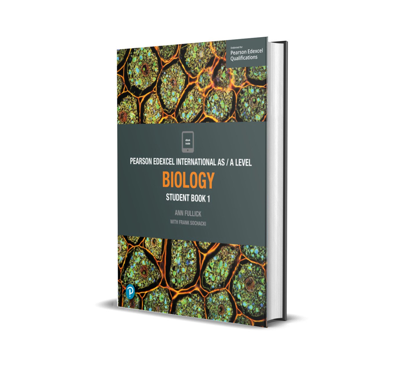 Edexcel International A Level Biology Student Book | by Ann Fullick