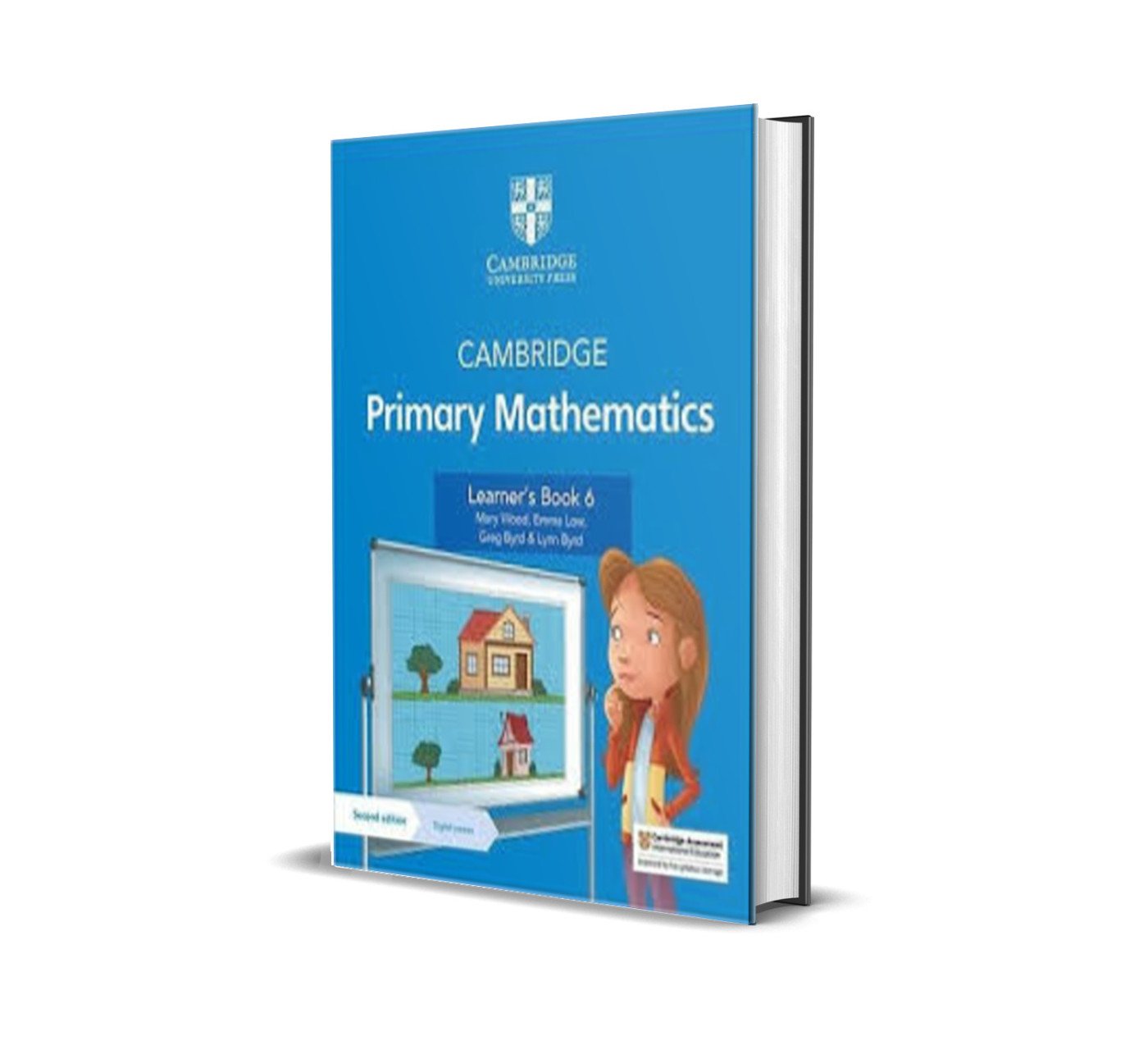 Cambridge Primary Mathematics Learner's Book 6